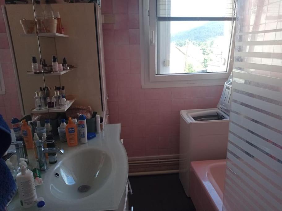 Appartement 83 M2 Renove Remiremont Eksteriør billede